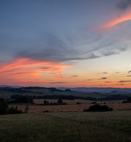 IMG_1153